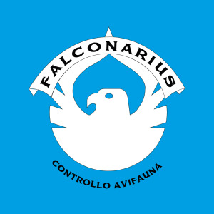 logo-falconarius-blu